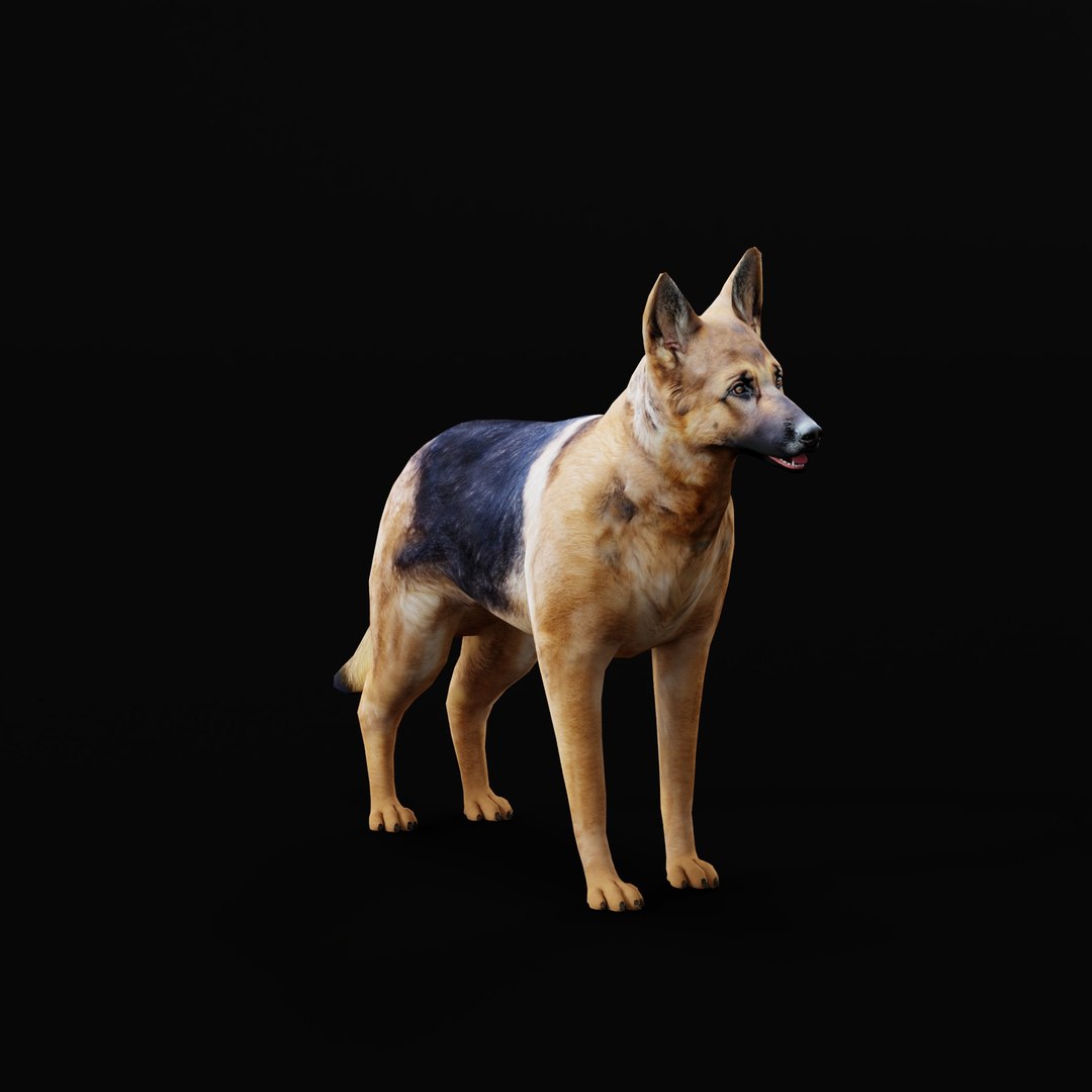 German Shepherd Dog model https://p.turbosquid.com/ts-thumb/Gp/hwq7rv/jc/germanshepherdao_0004/jpg/1767831104/1920x1080/fit_q87/200cea02928643c580647d6aa94df74efc82f6f8/germanshepherdao_0004.jpg