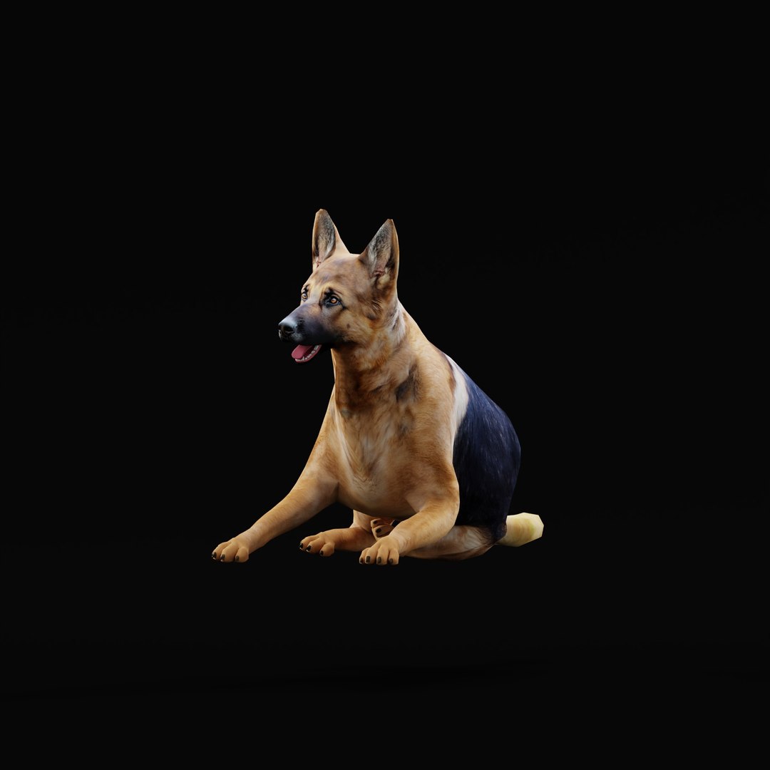 German Shepherd Dog model https://p.turbosquid.com/ts-thumb/Gp/hwq7rv/xi/germanshepherdao_0010/jpg/1767831107/1920x1080/fit_q87/3fe5f376b8843dbf0deb7cddd6b1fa430b321335/germanshepherdao_0010.jpg