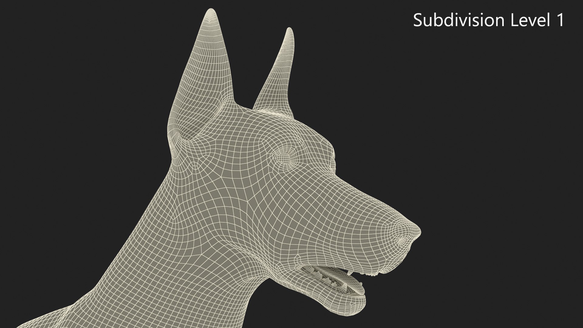 Doberman Pinscher Dog Rigged For Maya 3D Model - TurboSquid 2276424