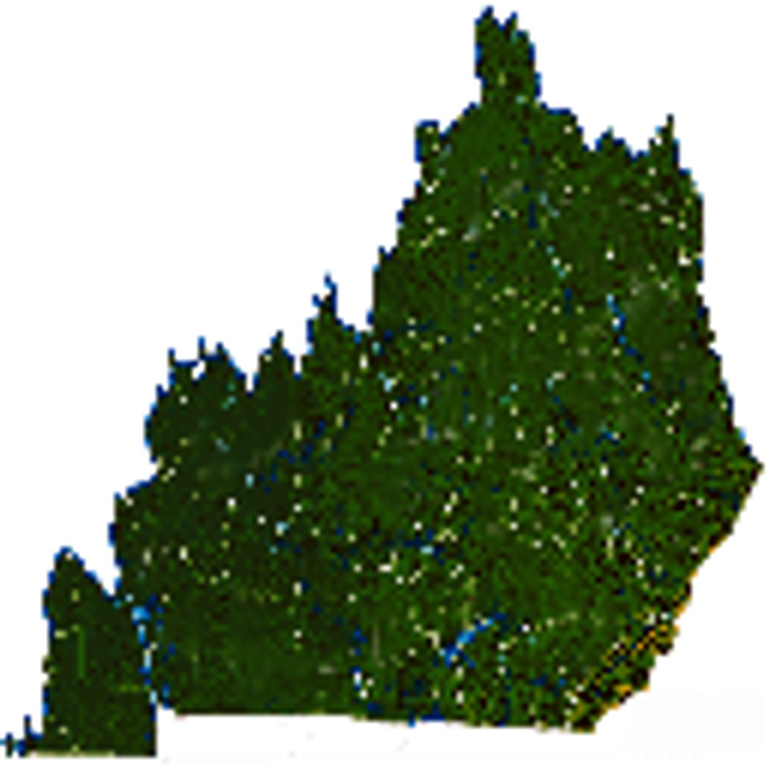 3D The Fifty model https://p.turbosquid.com/ts-thumb/Gp/zc10KT/iW/kentucky_uv/png/1768687070/1920x1080/fit_q87/cef84c452d31c0159d0dd82cfe25ead732e3595c/kentucky_uv.jpg