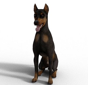 3D Dobermann  Dog - Full Rigged model