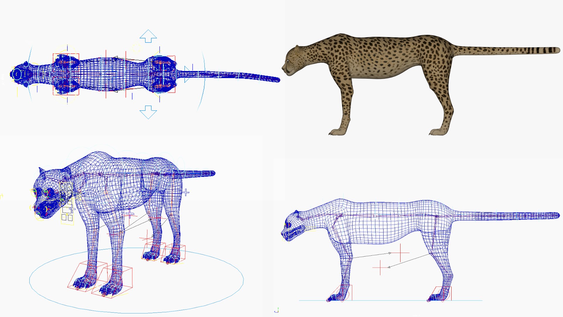 3D Cheetahmodel - TurboSquid 2301710