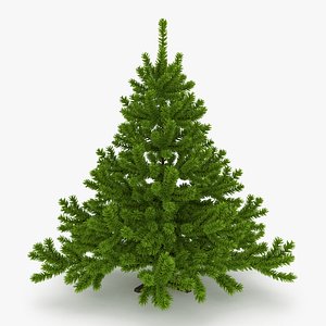 christmas tree 3d model