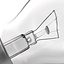 Light Bulb