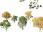 Mediterranes Gartenbaumpaket 03