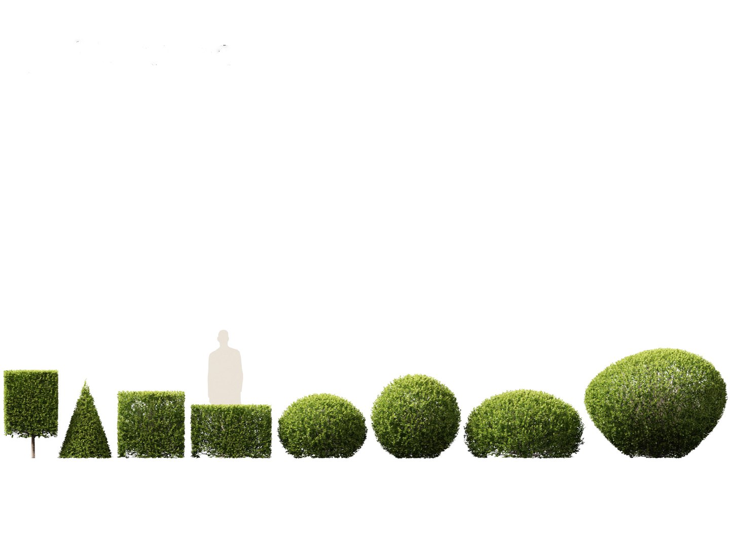 3D Mediterranean Garden Trees Pack 03 https://p.turbosquid.com/ts-thumb/Gq/UNATve/8Y/buxussempervirens011/jpg/1759202597/1920x1080/fit_q87/091256e0d5e135b3f508883f76b7b32ca579311d/buxussempervirens011.jpg
