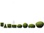 Mediterranes Gartenbaumpaket 03