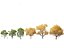 Mediterranes Gartenbaumpaket 03