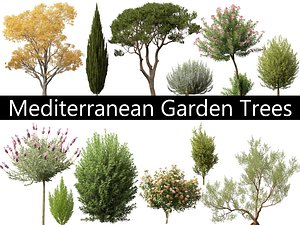 3D Mediterranean Garden Trees Pack 03