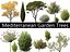 Mediterranes Gartenbaumpaket 03