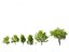 Mediterranes Gartenbaumpaket 03