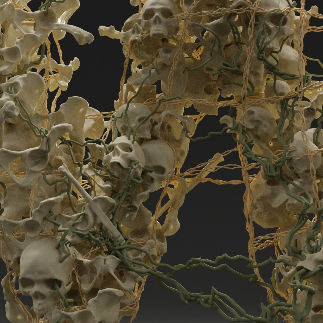 Letter W Bones Skeleton 3D Model - TurboSquid 1546315