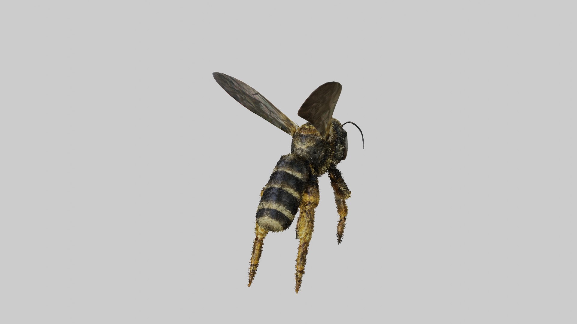 3D Animation BEE - TurboSquid 2227453