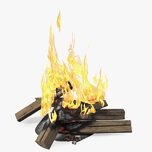 Fire from Wooden Logs