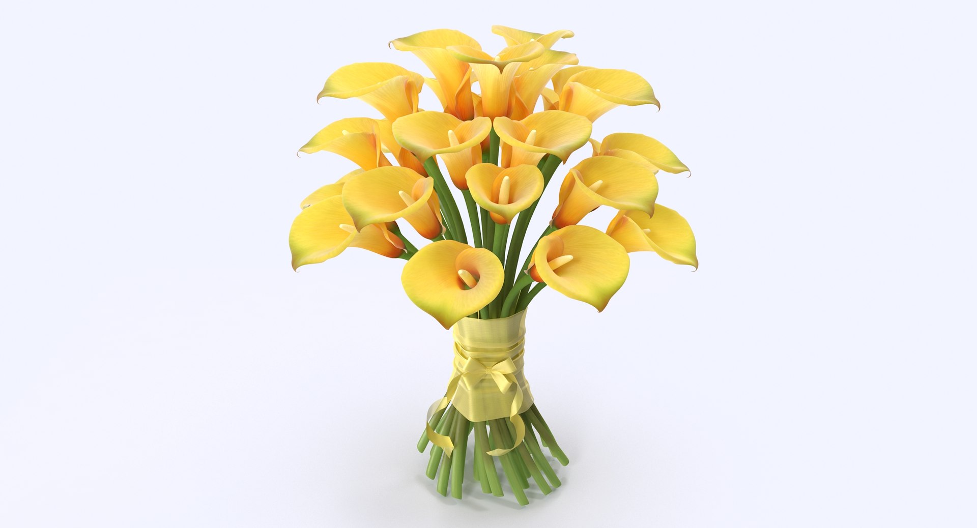 3d bouquet calla flowers model https://p.turbosquid.com/ts-thumb/Gr/4BNfEp/ANV74mU3/yellow_green2_1_1/jpg/1484053187/1920x1080/fit_q87/8a231f577c2659a9fe7a9576ef2a44d03c31abcc/yellow_green2_1_1.jpg
