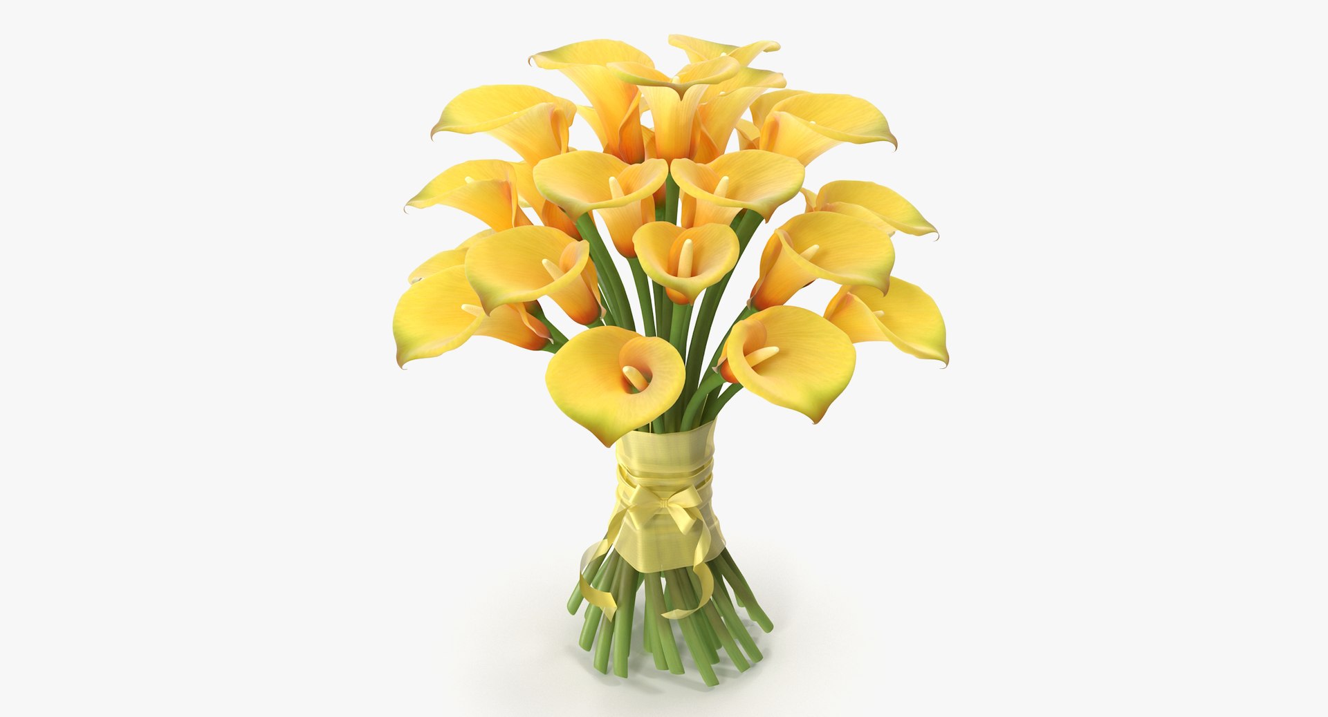 3d bouquet calla flowers model https://p.turbosquid.com/ts-thumb/Gr/4BNfEp/qlbTmYww/yellow_green2_1_1_1/jpg/1484053187/1920x1080/fit_q87/8250273f46351271b665db8d5b3f0ff84d6bf07a/yellow_green2_1_1_1.jpg
