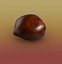 chestnut