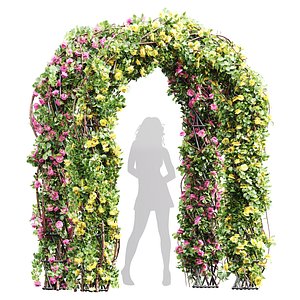 3D New Plant High detail Climbing Roses Garden Bow02 Grow model