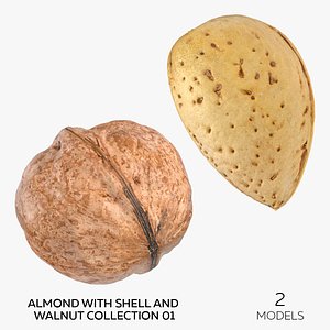 3D Almond With Shell and Walnut Collection 01 - 2 models