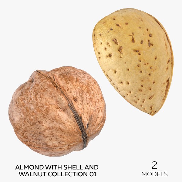 3D Almond With Shell and Walnut Collection 01 - 2 models