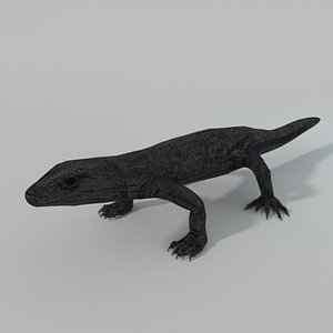 komodo dragon 3D