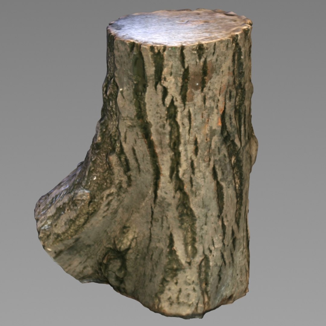 3d Stump Model