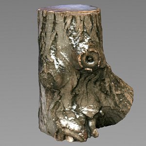 3d stump model