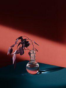 Eucaliptus Morado Flower 3D model