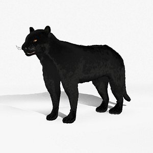 3D black panther fur animated