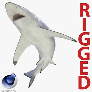 spinner shark rigged 3d c4d