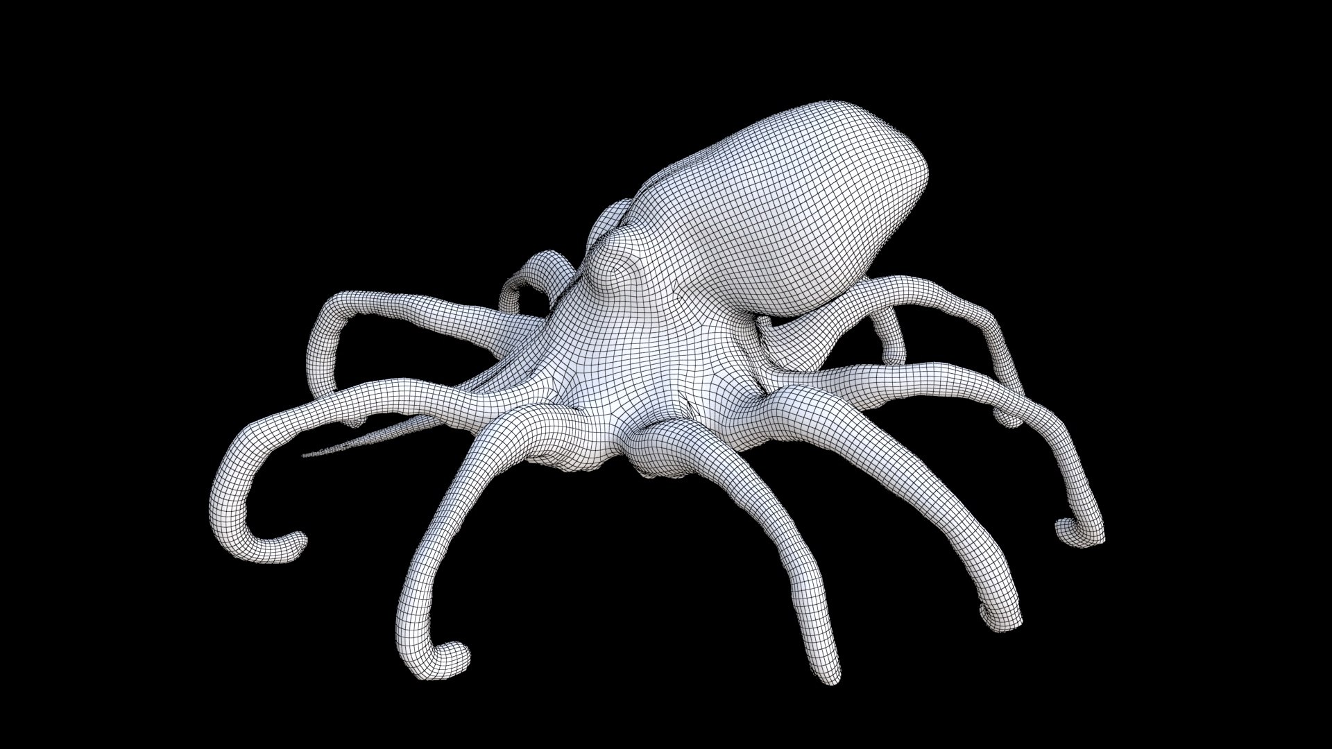 Squid Model - TurboSquid 2338848