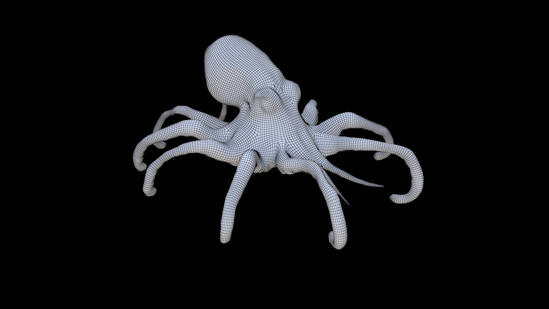 Squid Model - TurboSquid 2338848