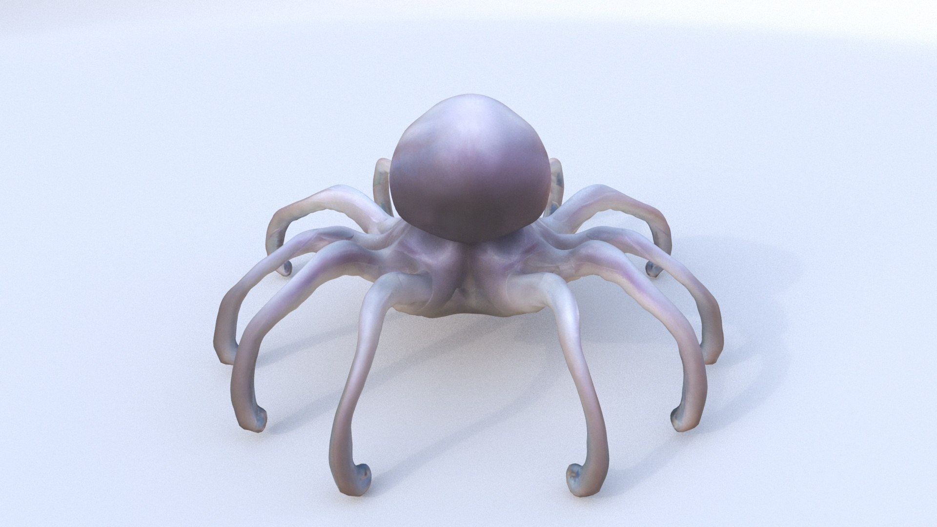 Squid Model - TurboSquid 2338848