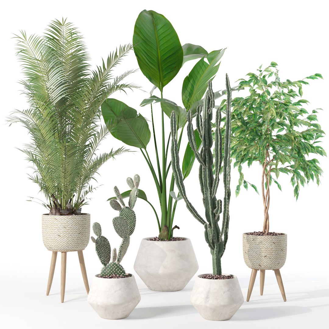 20 Photorealistic Flowers For Interiors - Set 119 127 134 142 3D Model ...