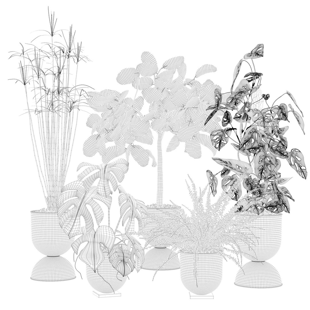 20 Photorealistic Flowers For Interiors - Set 119 127 134 142 3D Model ...