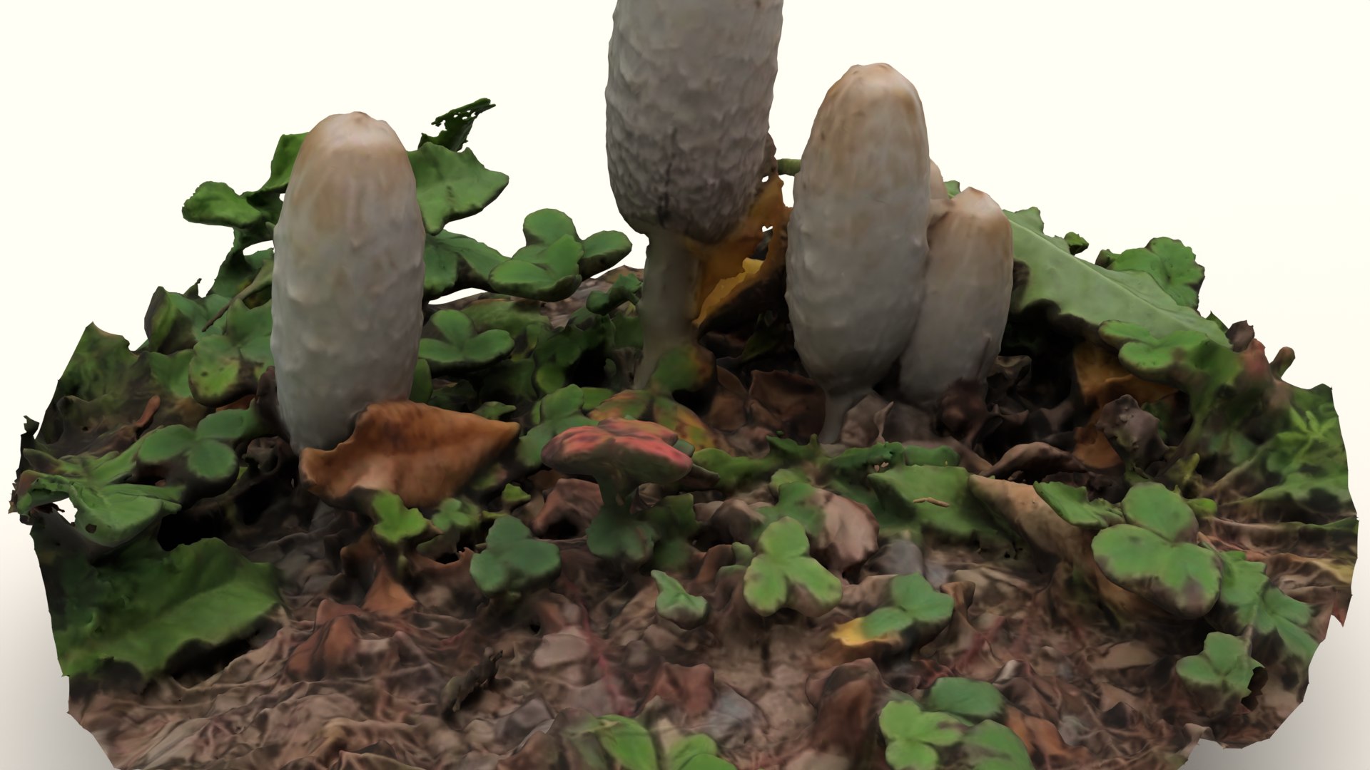 Mushroom - Jix3D 3D model https://p.turbosquid.com/ts-thumb/Gr/v0y4Fd/WC/unt3itled/png/1728197873/1920x1080/fit_q87/f9c90a096d0777155f4e55d6ff636cc3bcfcbd36/unt3itled.jpg