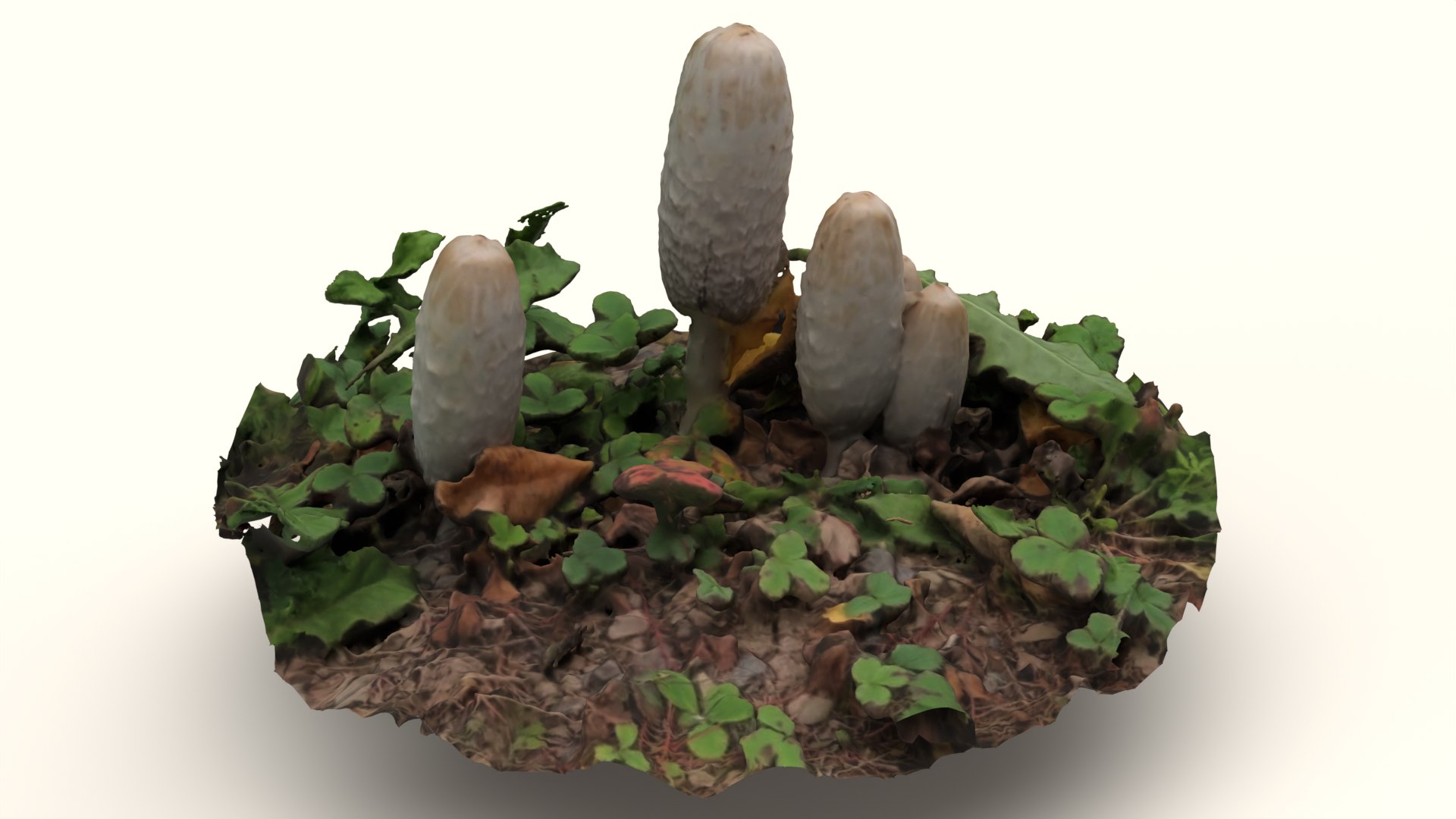 Mushroom - Jix3D 3D model https://p.turbosquid.com/ts-thumb/Gr/v0y4Fd/qJ/dddd/png/1728198020/1920x1080/fit_q87/a46dd7a63ba951d978992445472fa6d14e9787e9/dddd.jpg