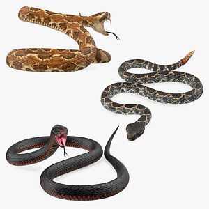 snakes light rattlesnake 3D model