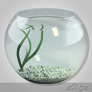 Aquarium Fish Tank 1