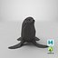 3D seal---sitting model