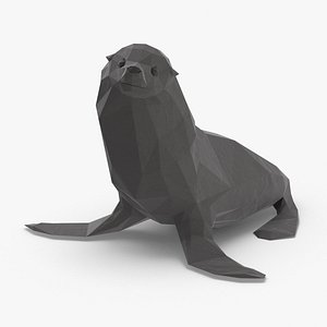 Seal Sitting
