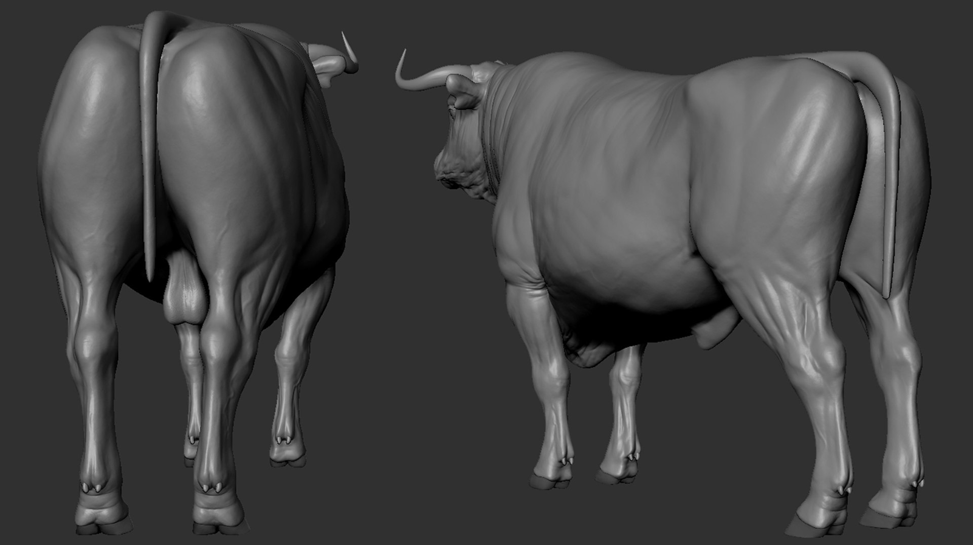 Bull model - TurboSquid 1726730