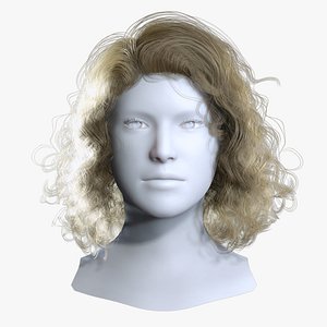 Long Layered Wavy Hair - Realistic Messy Shag Groom for 3D Characters