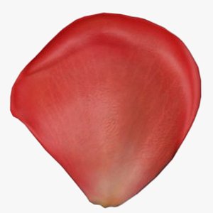 Red Rose Petals 3D model