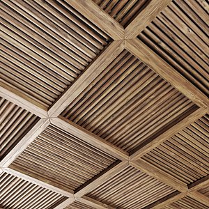 Beam ceiling n6 3D model