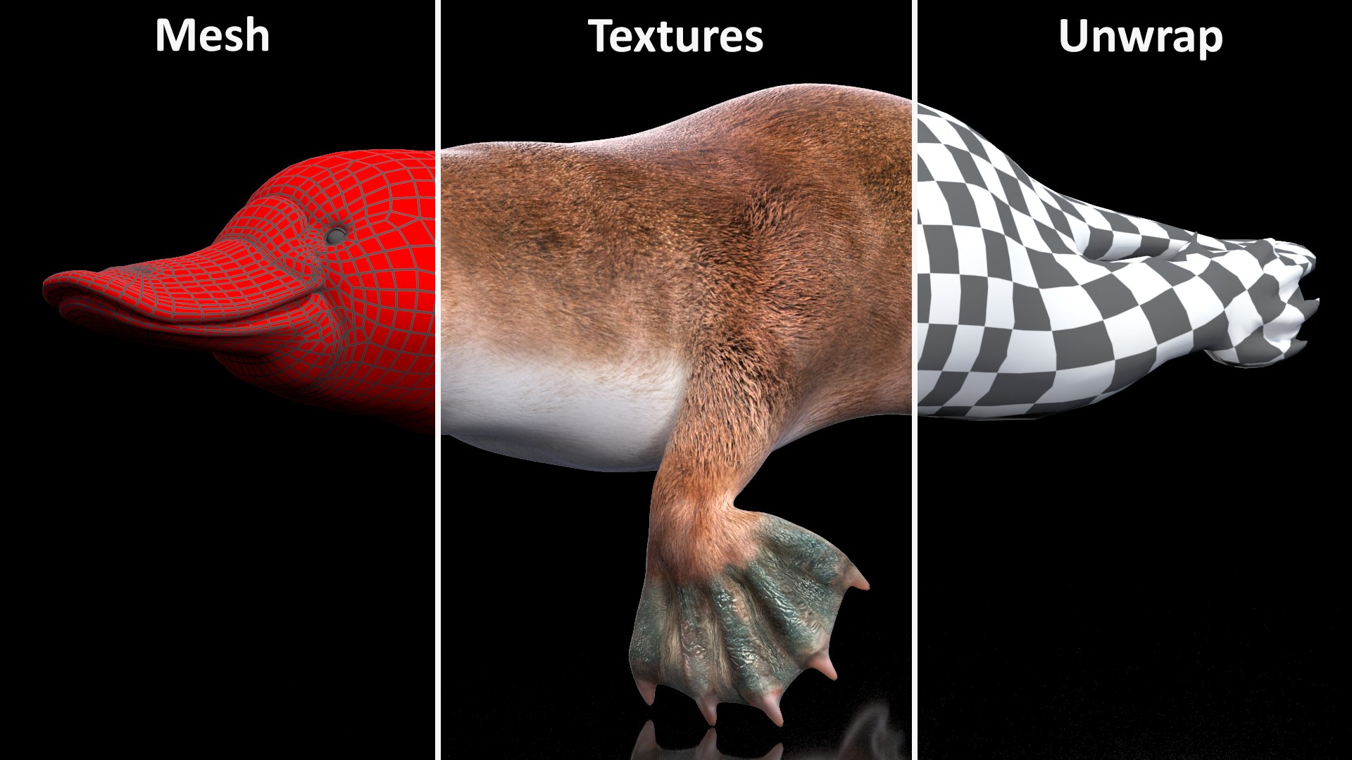 3D model Platypus Swimming Pose https://p.turbosquid.com/ts-thumb/Gs/vLHBS8/DK/platypusswimmingposec4dmodel016/jpg/1700529153/1920x1080/fit_q87/397aed7a7380da9243152b07c5eee6f490312d1c/platypusswimmingposec4dmodel016.jpg