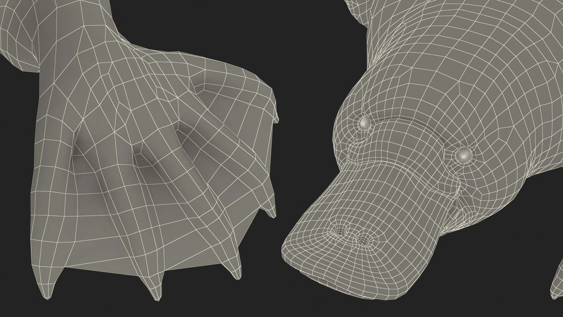 3D model Platypus Swimming Pose https://p.turbosquid.com/ts-thumb/Gs/vLHBS8/sg/platypusswimmingposec4dmodel028/jpg/1700529198/1920x1080/fit_q87/4feed3b5cc2bd9d31b881ea27a14996f7fafc323/platypusswimmingposec4dmodel028.jpg