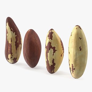 Brazil Nut