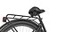 Ciclo rickshaw