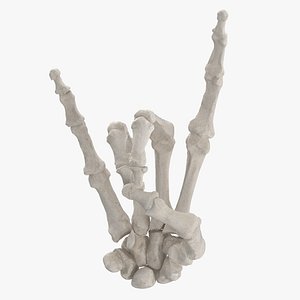 Real Human Hand Bones White Rock Sign